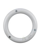 IPERLUX LED CIRCOLINA G10Q 15W